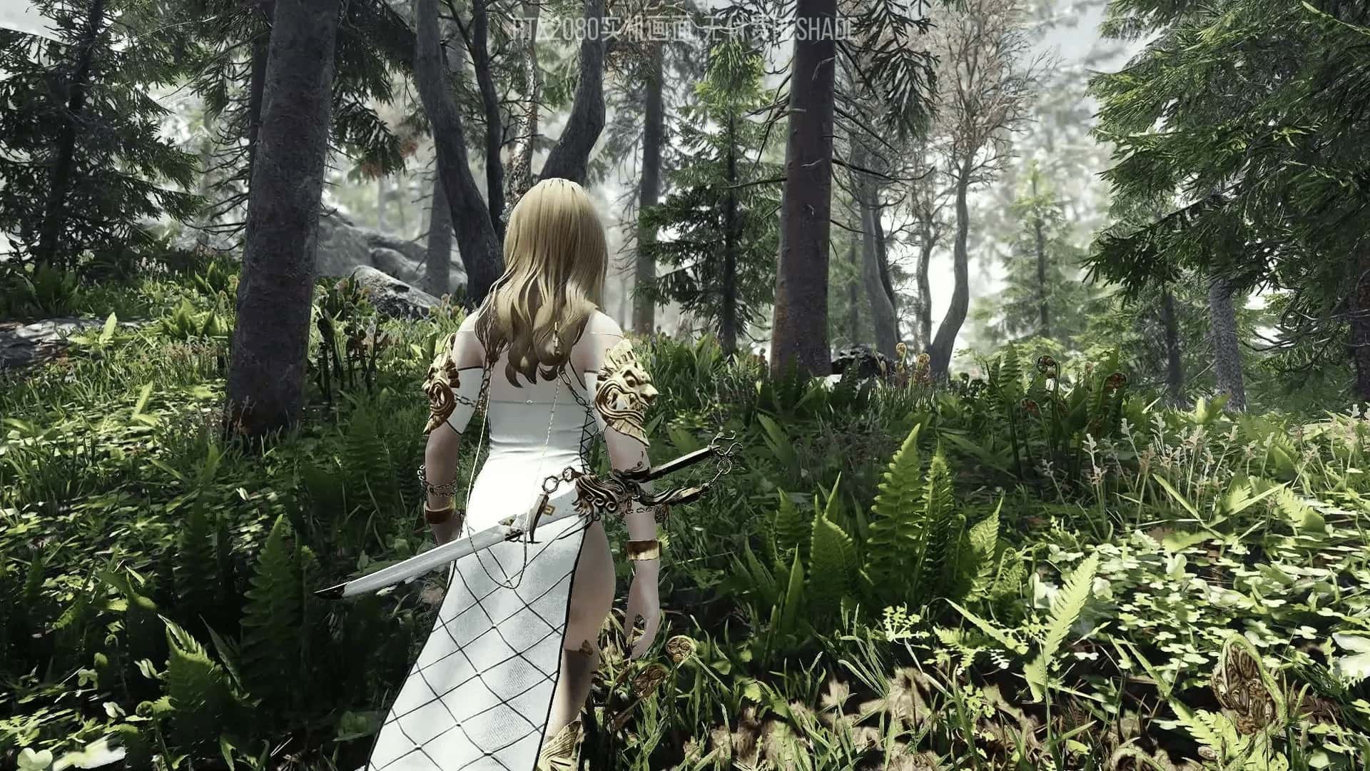 上古卷轴5 星黎SamuRai版 完整整合最新版